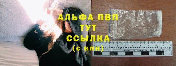 круглые Белокуриха