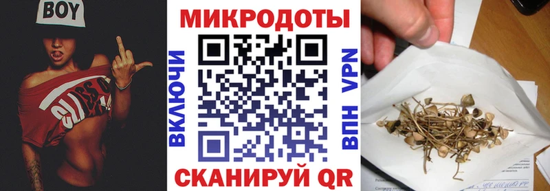 хочу наркоту  Печора  Галлюциногенные грибы мицелий 