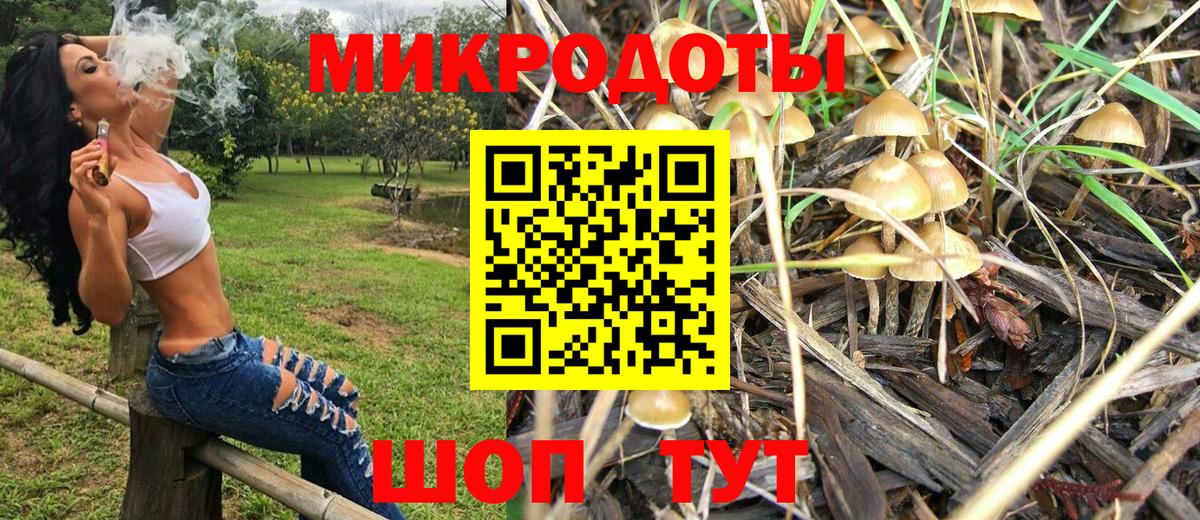 наркота  Галлюциногенные грибы Psilocybe  Вход с VPN  Печора 